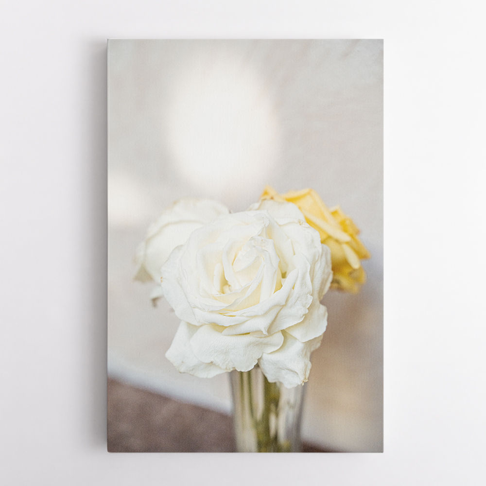 White Roses