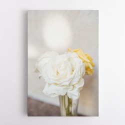 White Roses