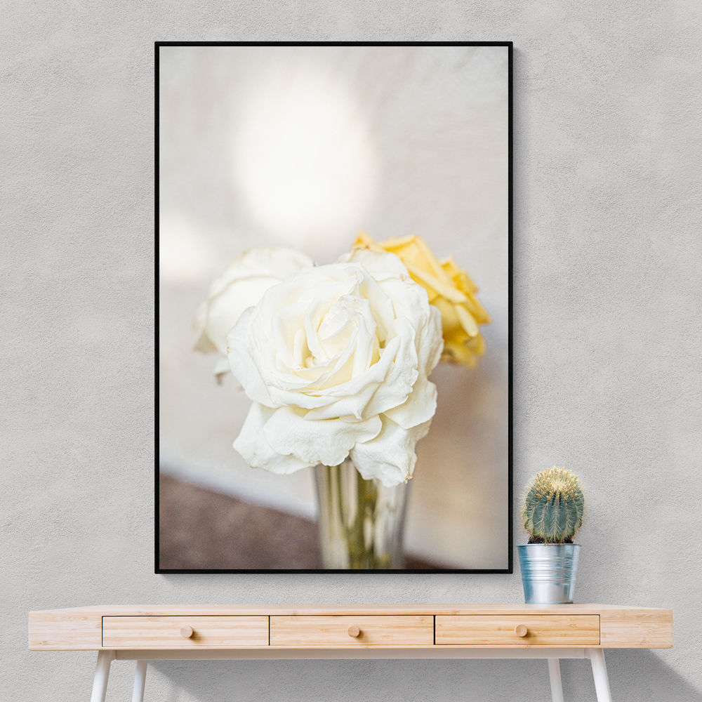 White Roses