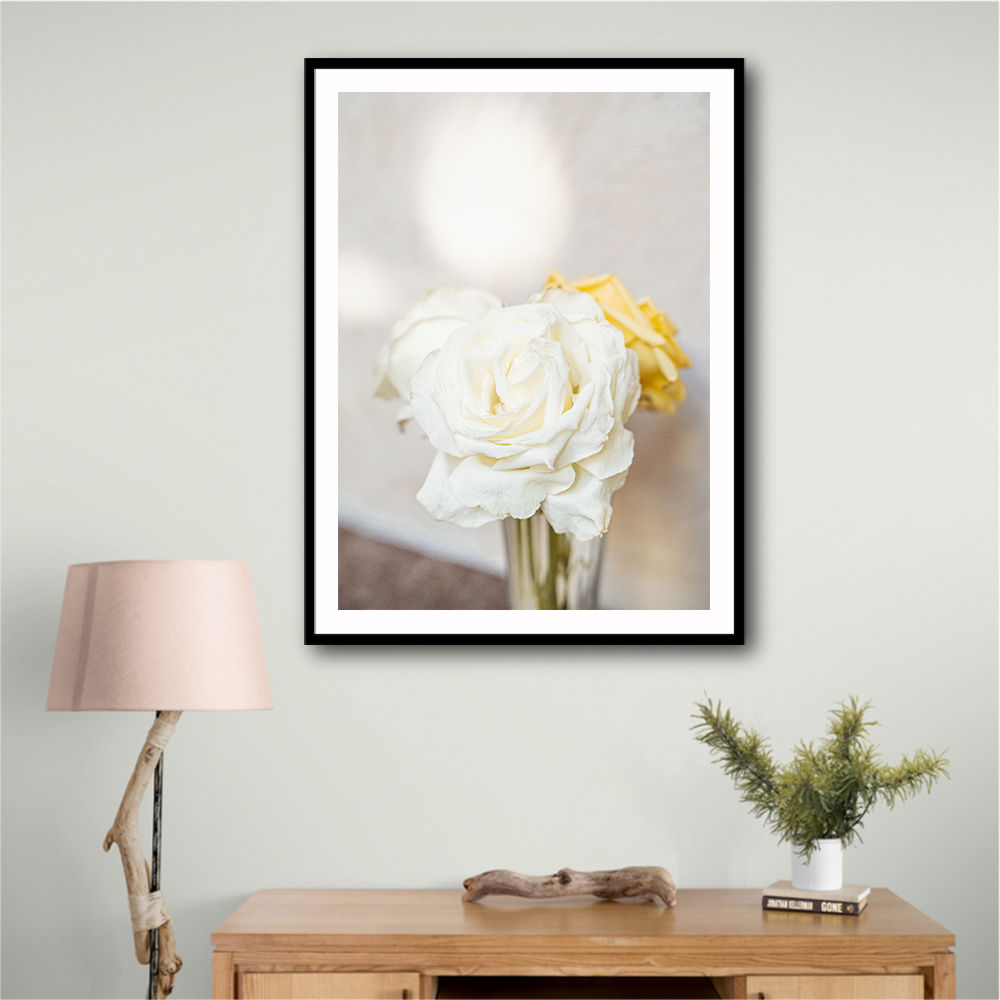 White Roses