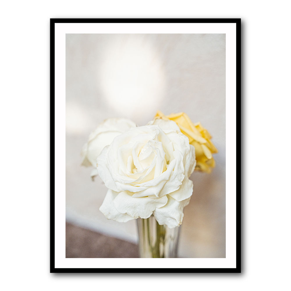 White Roses