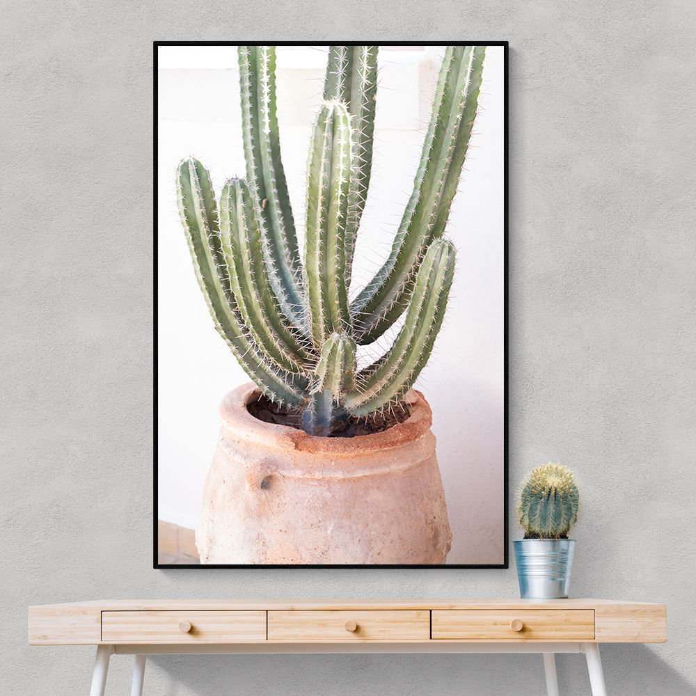 Cactus Serenity