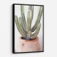 Cactus Serenity