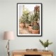 Garden with Various Potted Succulents and Cacti