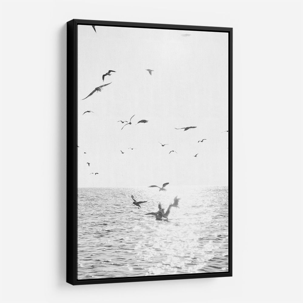 Seagulls At Sea