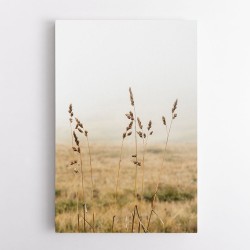 Dolomiti Fields