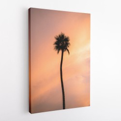 Sunset Solitude