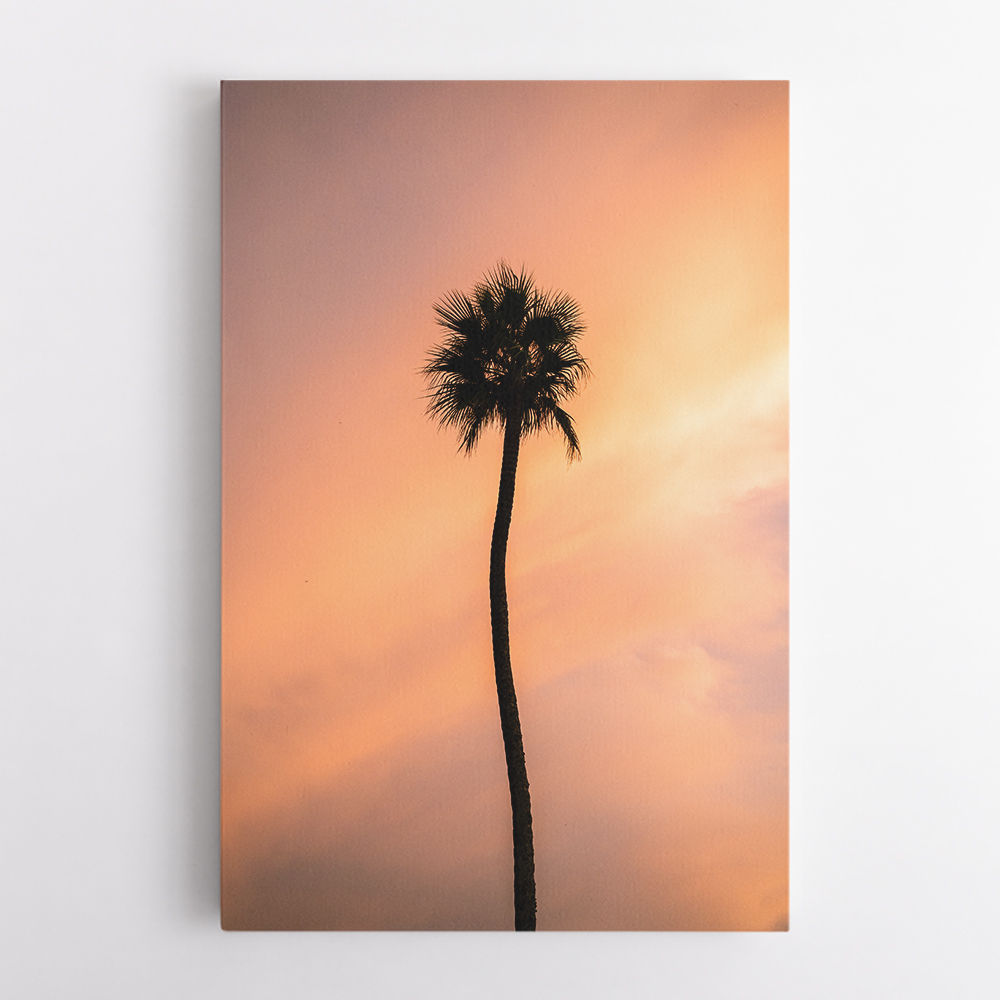 Sunset Solitude