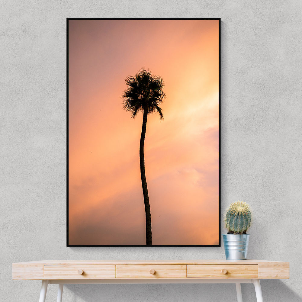 Sunset Solitude