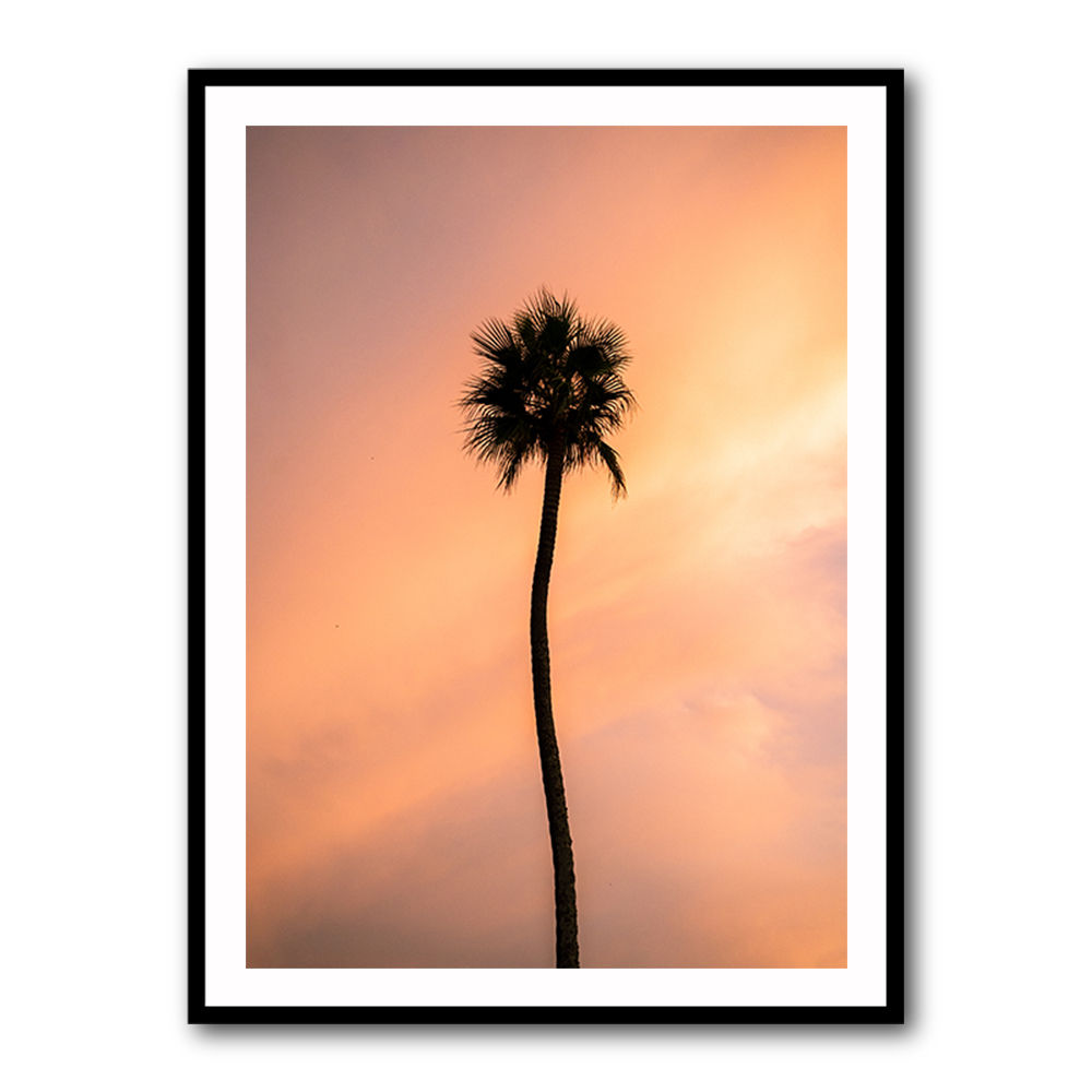 Sunset Solitude