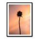 Sunset Solitude