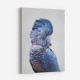 Black Cockatoo