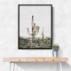 Pink Saguaro