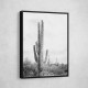 Saguaro BaW