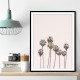 Blush Palms