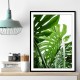 Jungle