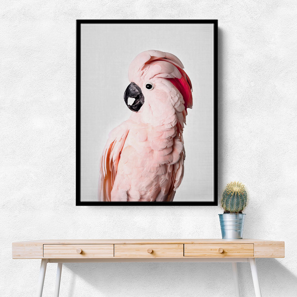Pink Cockatoo