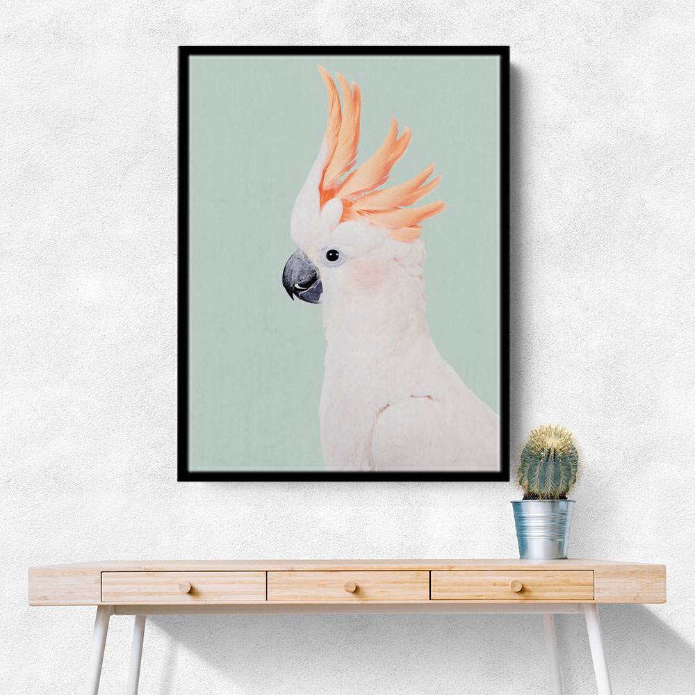 Cockatoo