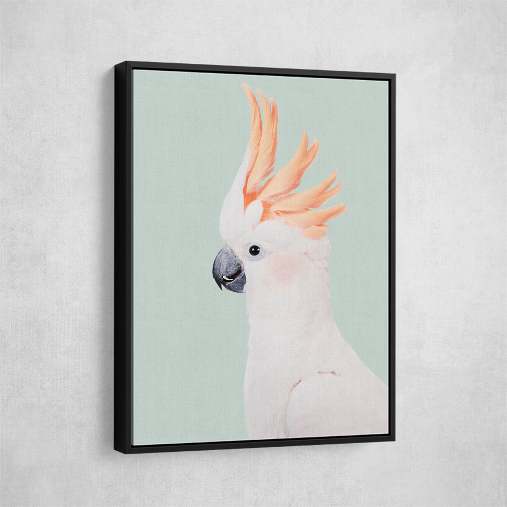 Cockatoo