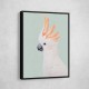 Cockatoo