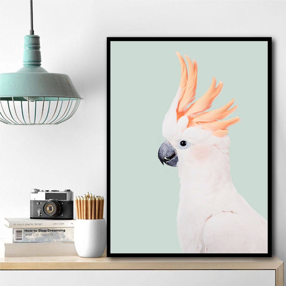 Cockatoo