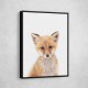 Baby Fox