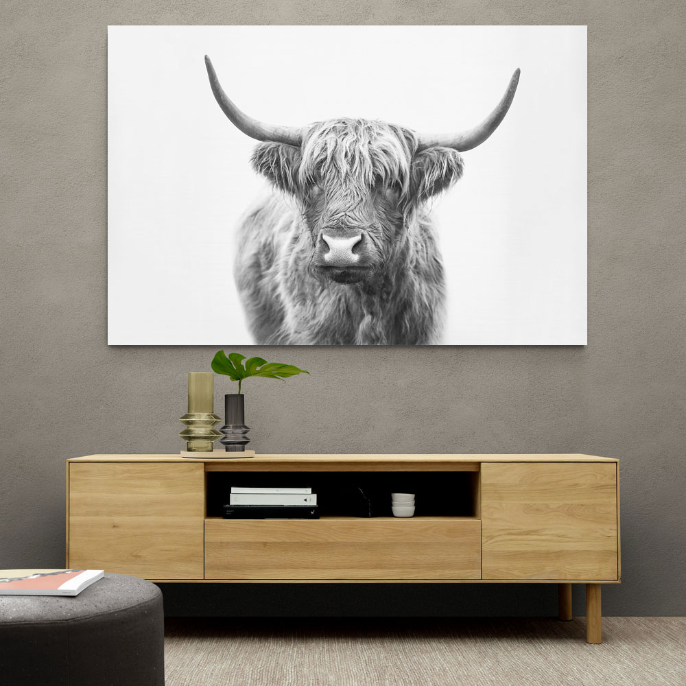 Highland Bull