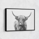 Highland Bull