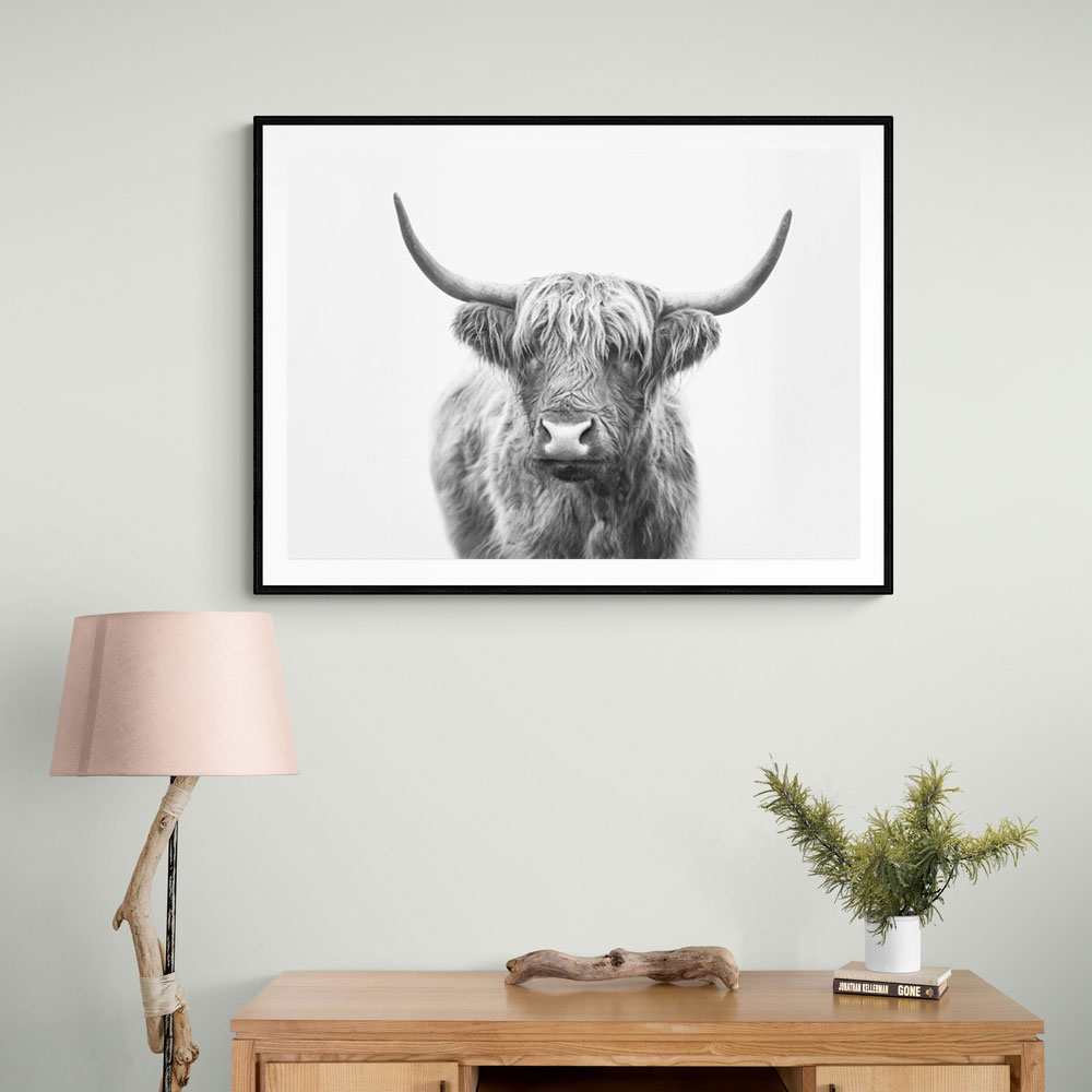 Highland Bull