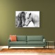 Horse Love