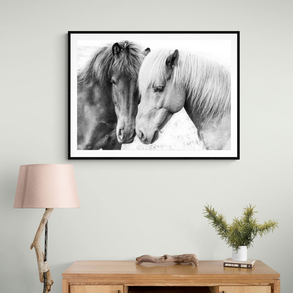Horse Love