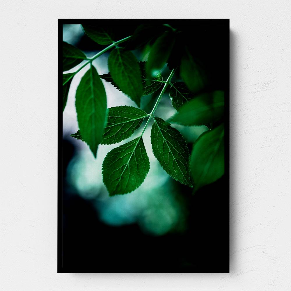 Dark Leaves 14 Wall Art