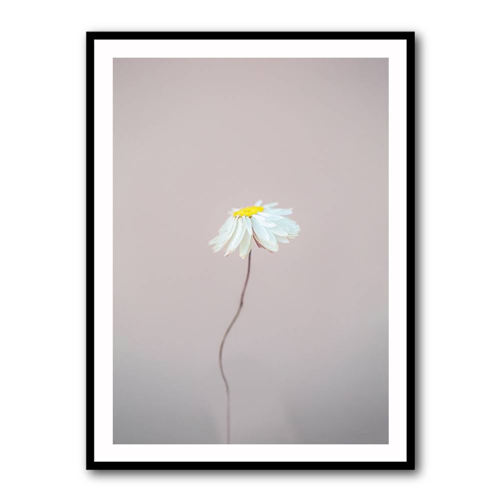Fragile 1 Wall Art