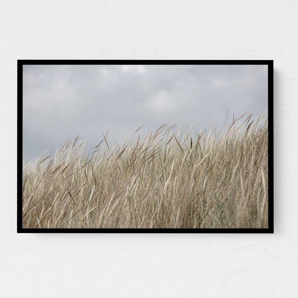 Dunes And Clouds Wall Art