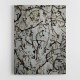 Birch Tree