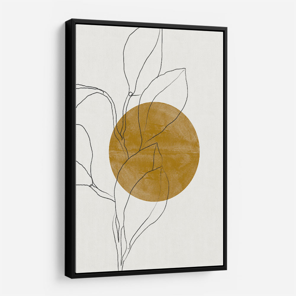 Plant and Sun
