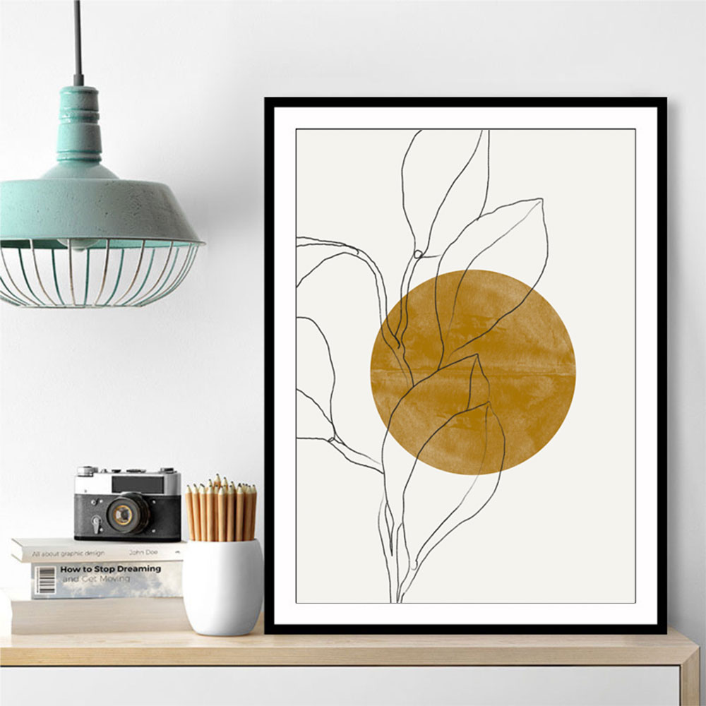 Plant and Sun