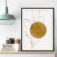 Plant and Sun