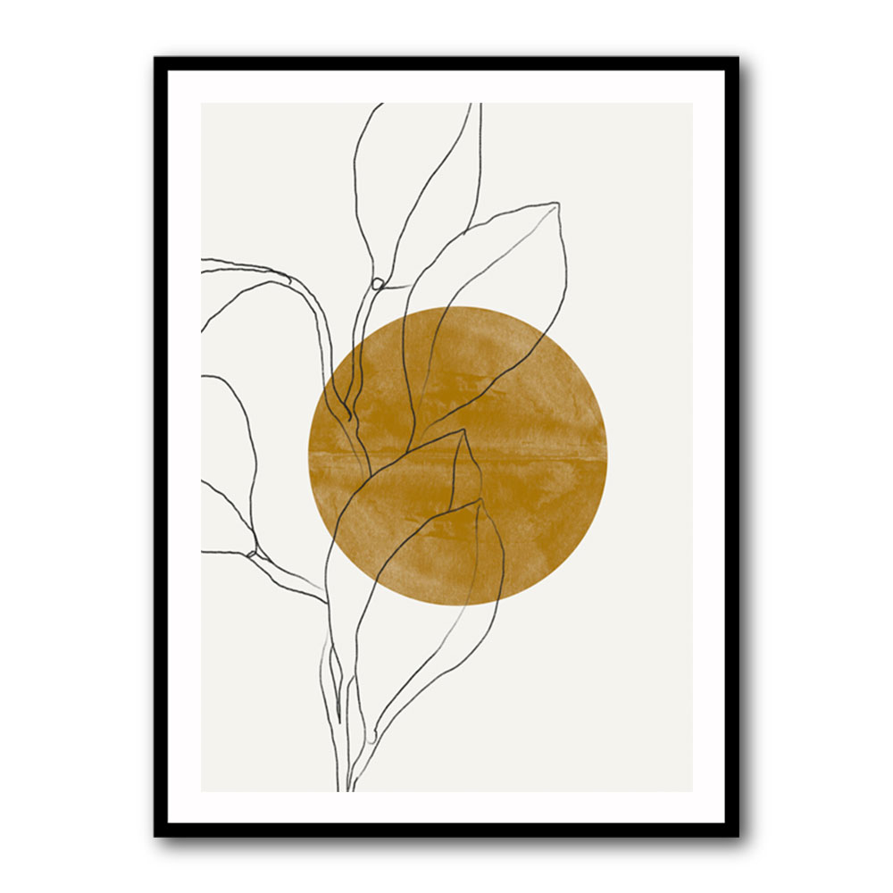 Plant and Sun