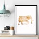 White Gold Elephants