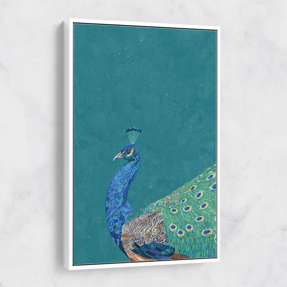 Turquoise Peacock
