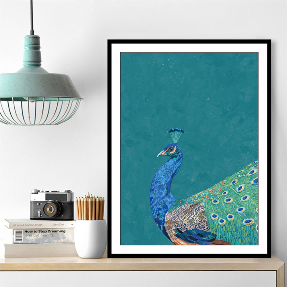 Turquoise Peacock