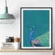 Turquoise Peacock