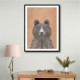 Cool Bear Portrait