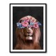 Lion Flowers