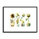 Sunflowers in a Vase