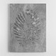 Tropical Leaf