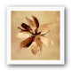 Ochre Flower