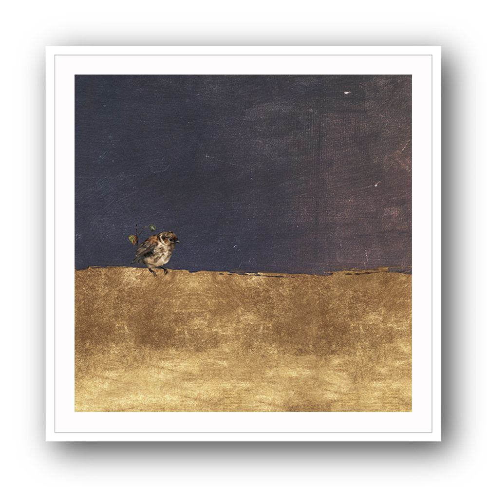 Sparrow In Abstraction 