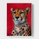 Elegant Leopard